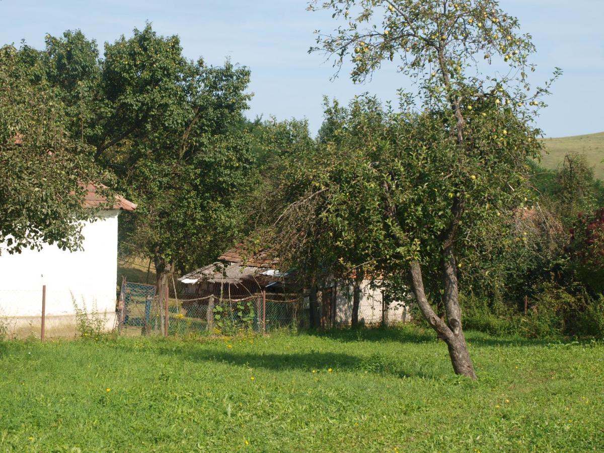 Rozsa Haz Villa Csernely Bagian luar foto